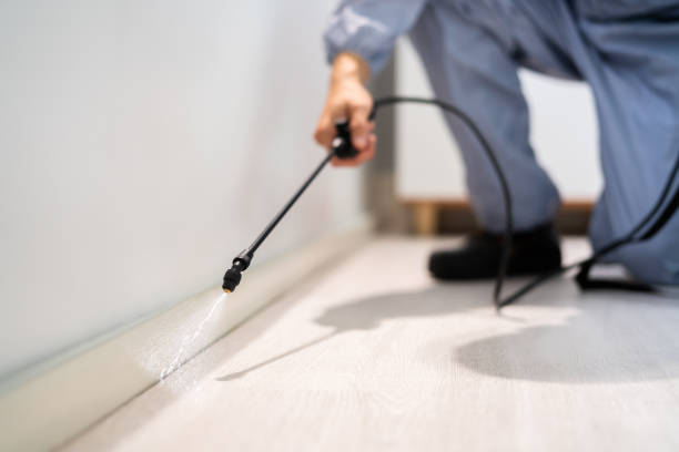 Licensed Termite Control service in Hugo, OK - Nex Pest Control