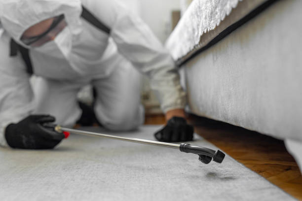 Professional Termite Control technician working in Hugo, OK