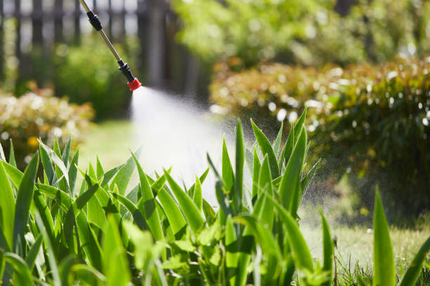 24/7 Emergency Termite Control experts in Hugo, OK