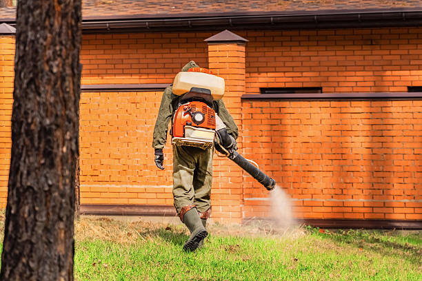 Top rated local Termite Control specialists in Hugo, OK